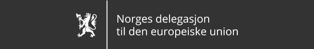 Logo: Norges delegasjon til EU