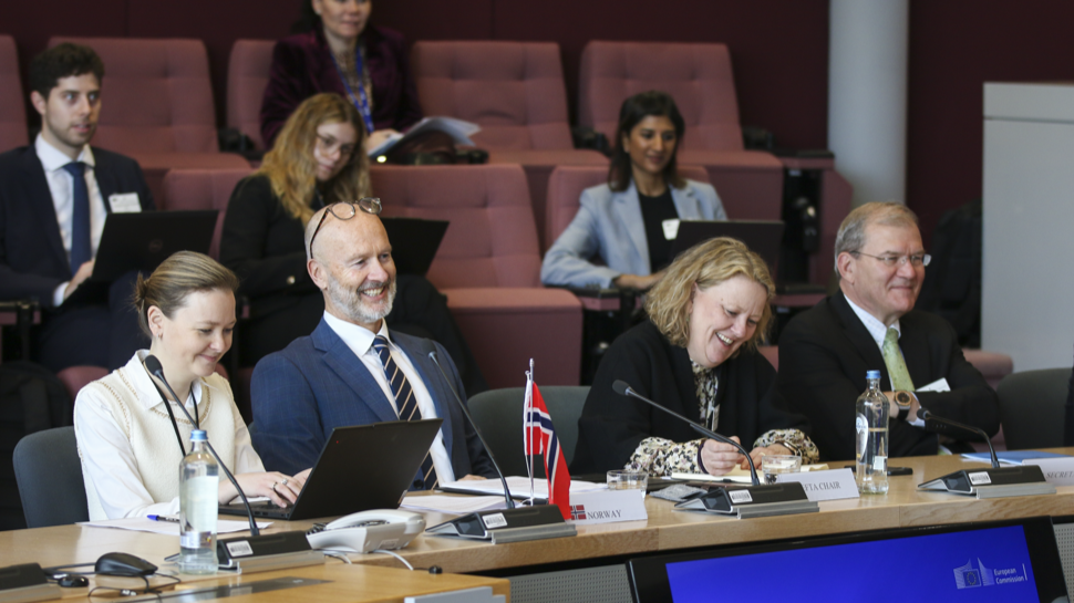 Ambassadør Anders H. Eide i EØS-møte
