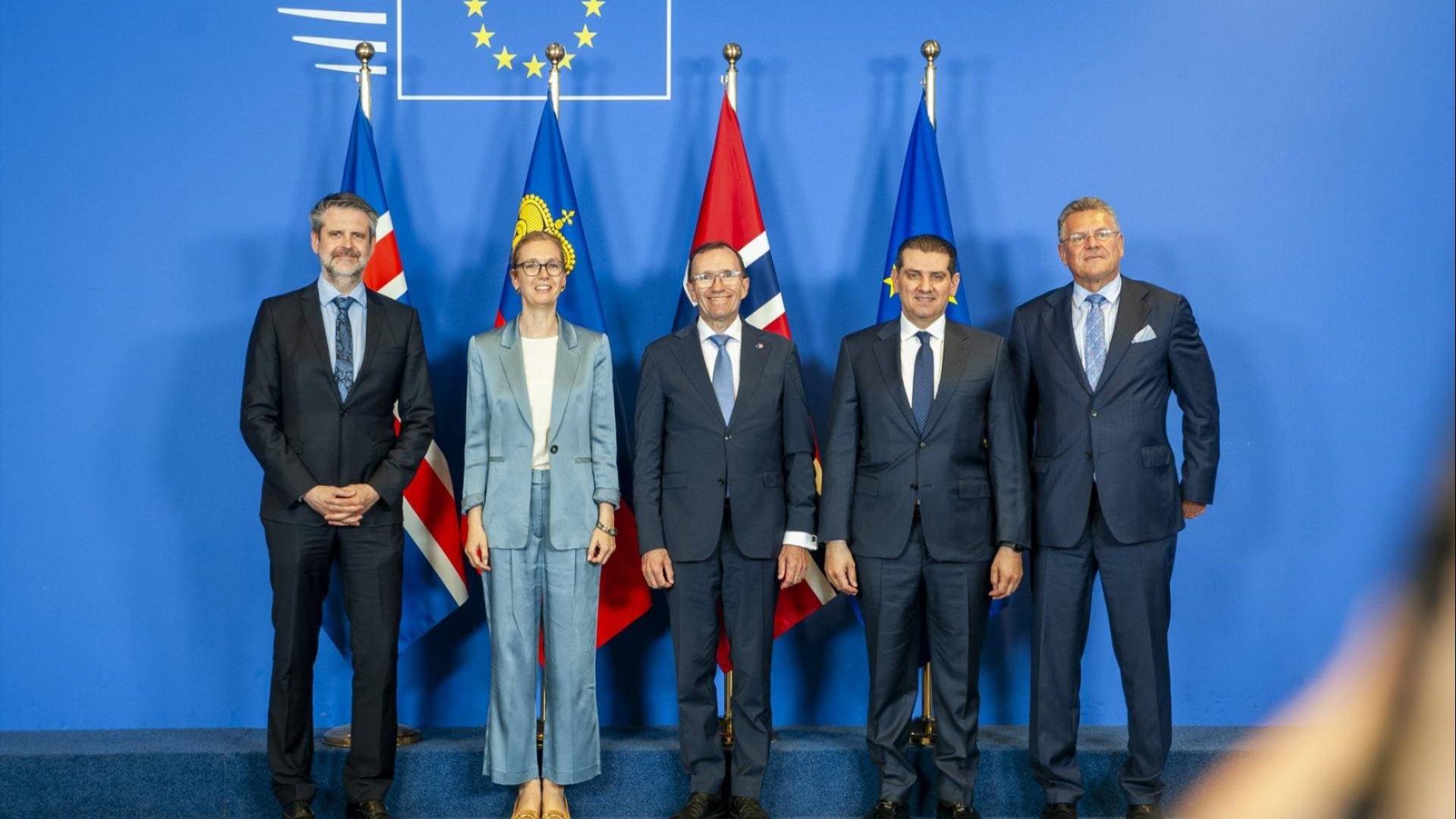Utenriksminister Espen Barth Eide under EØS-rådet